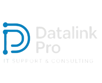 Logo Datalink Pro